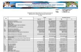 BPKAD NTB Ringkasan Laporan Realisasi Anggaran Tahun 2024 ke 1