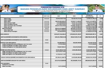BPKAD NTB Ringkasan Laporan Realisasi Anggaran Tahun 2024 ke 5.