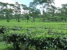 Berkunjung ke Malang dari Surabaya? Ini 5 Destinasi Favoritnya.