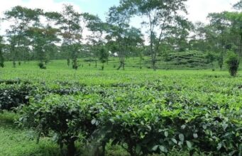 Berkunjung ke Malang dari Surabaya? Ini 5 Destinasi Favoritnya.