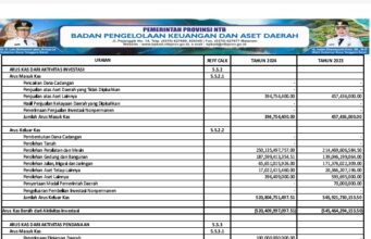 BPKAD NTB Ringkasan Laporan Realisasi Anggaran Tahun 2024 ke 11.