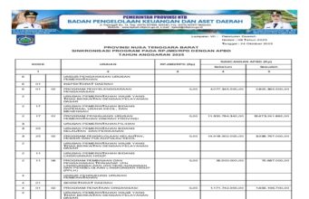 BPKAD NTB Ringkasan Laporan Realisasi Anggaran Tahun 2024 ke 24.