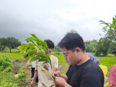 Menelusuri Jejak Pangan Lokal di Lombok Utara
