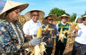 Ketua Baznas Pusat Dorong RI Contek Kesuksesan Thailand di Panen Raya Lombok Timur