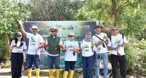 Peringati Hari Mangrove Sedunia dan HUT ke-62, Bank NTB Syariah Tanam Mangrove di Kawasan Ekowisata Paremas