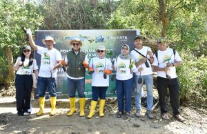 Peringati Hari Mangrove Sedunia dan HUT ke-62, Bank NTB Syariah Tanam Mangrove di Kawasan Ekowisata Paremas