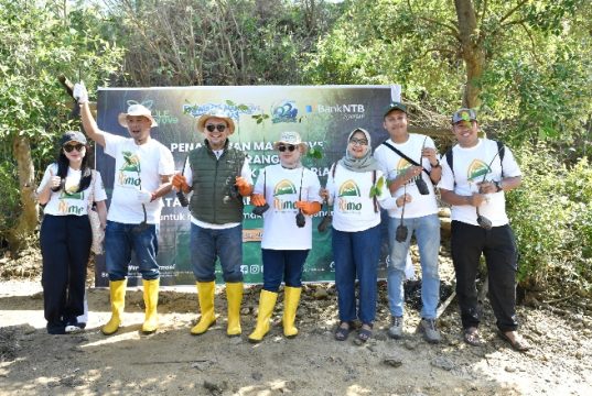 Peringati Hari Mangrove Sedunia dan HUT ke-62, Bank NTB Syariah Tanam Mangrove di Kawasan Ekowisata Paremas