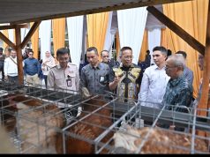 Dukung Program Desa Berdaya NTB, Bank NTB Syariah Salurkan Bantuan Budidaya Ayam Petelur untuk Masyarakat Desa Lendang Nangka Utara.