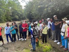 Tiga Penambang Tewas, PDIP Sumbawa Soroti Lemahnya Pengawasan PETI